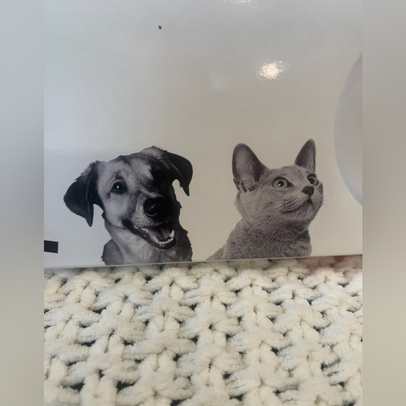 New in Unopened Box Petshoppe Paw Print Ornament by Walgreens - Picture 4 of 7